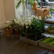 Orkidé fra Sabrina's Blomster